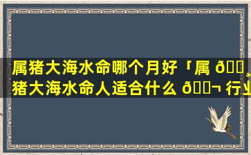 属猪大海水命哪个月好「属 🌸 猪大海水命人适合什么 🐬 行业最旺财」